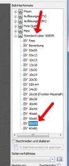 Belichter.webp
