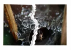 zerrissen2.webp
