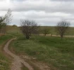 S4230009_test_gpscollage.webp