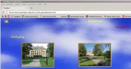 am_2.webp