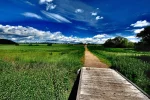 DSCF5443.webp