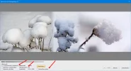Box Bannermaster.webp
