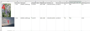 Bilder in Excel.webp