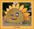 Stapelbeispiel 2.webp