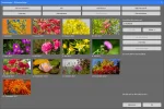 Bildreihenfolge.webp