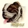 mopsz