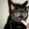 Knipsi