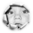 David.P