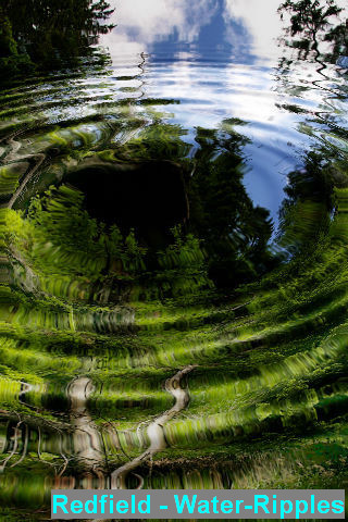 rme_redfield-water-ripples1.jpg