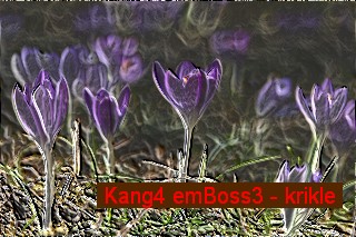 rme_plugin-bsp025.jpg