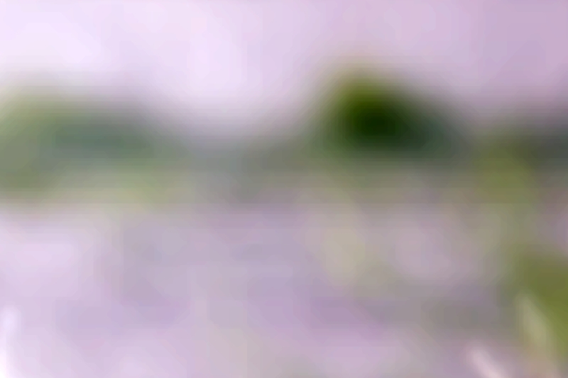 vista.jpg
