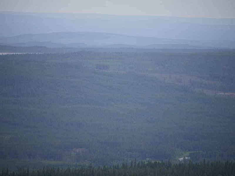 P57321bu2.jpg