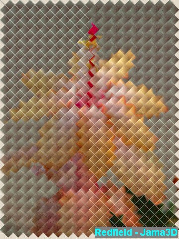 rme_redfield-jama3d1.jpg