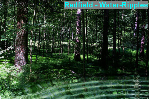 rme_redfield-water-ripples2.jpg