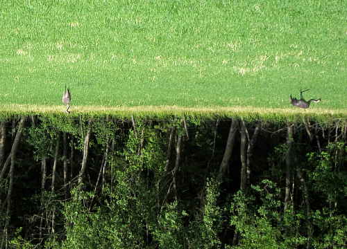 img_2727r.jpg