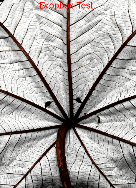 blatt.JPG