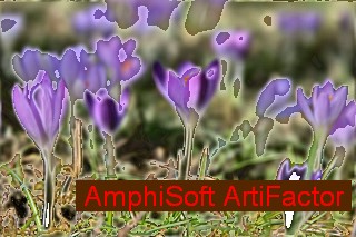 rme_plugin-bsp002.jpg