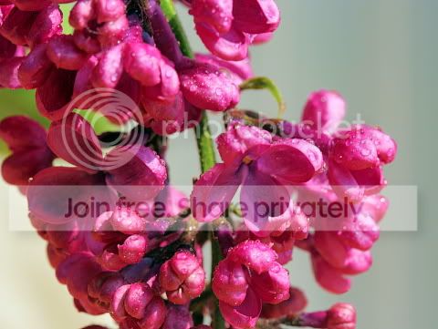 IMG_4945kl.jpg