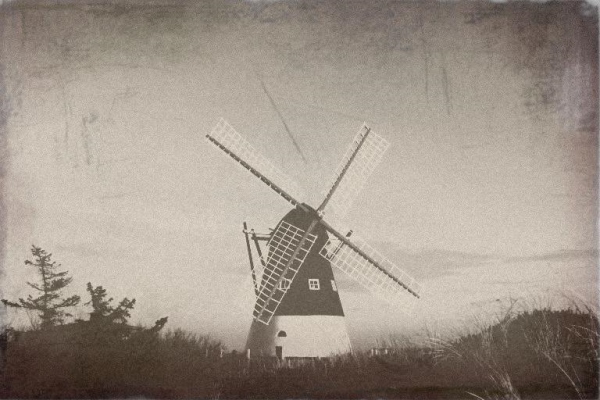 4302067812_0152443074_o.jpg