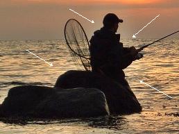 angler-test1.jpg