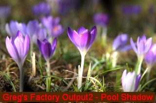 rme_plugin-bsp014.jpg