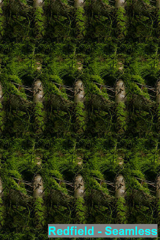 rme_redfield-seamless1.jpg