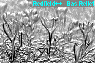 rme_redfield-plusplus_Bas-Relief.jpg