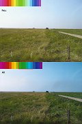 _10081001-Salzwiesen-compare.jpg